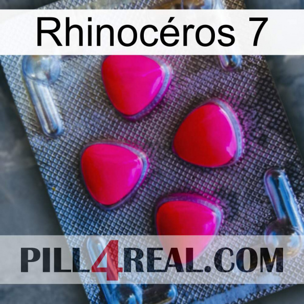 Rhinocéros 7 13